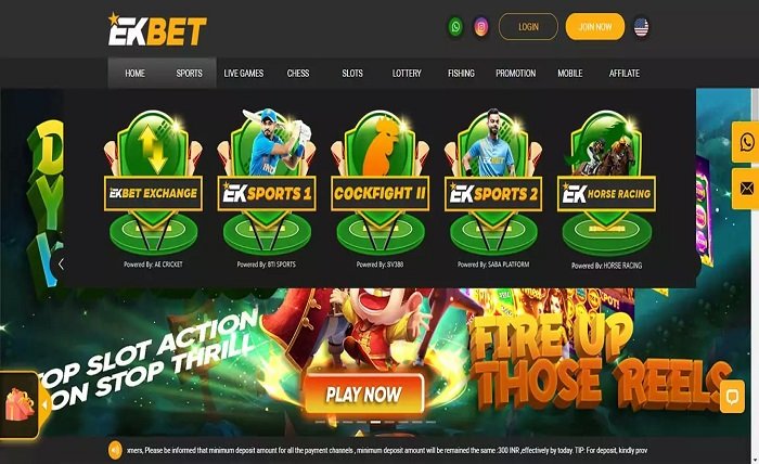 Cash Out Culture: The Rise of Instant Payouts in Online Gambling Consulting – What The Heck Is That?